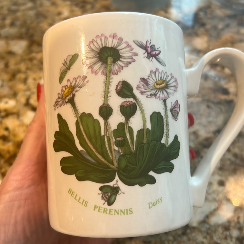Portmerion Botanic Garden 4 and 1/8 in Mug, made in Britain Daisy pattern